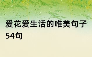 愛花愛生活的唯美句子54句
