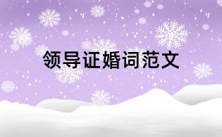 領導證婚詞范文