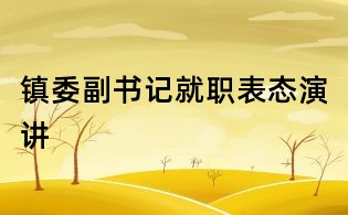 鎮委副書記就職表態演講