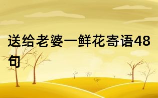 送給老婆一鮮花寄語(yǔ)48句