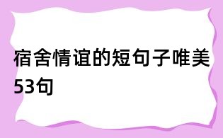 宿舍情誼的短句子唯美53句