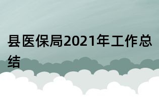 縣醫保局2021年工作總結