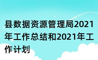 縣數(shù)據(jù)資源管理局2021年工作總結(jié)和2021年工作計劃
