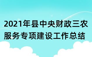 2021年縣中央財政三農服務專項建設工作總結
