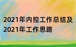 2021年內控工作總結及2021年工作思路