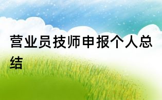 營業(yè)員技師申報個人總結