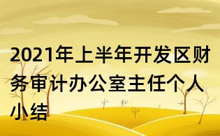 2021年上半年開發區財務審計辦公室主任個人小結