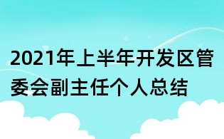 2021年上半年開發區管委會副主任個人總結