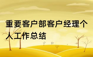 重要客戶部客戶經理個人工作總結