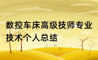 數控車床高級技師專業技術個人總結