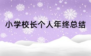 小學校長個人年終總結