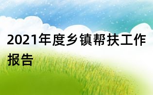2021年度鄉鎮幫扶工作報告