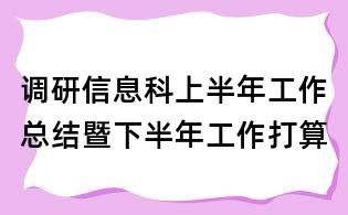 調(diào)研信息科上半年工作總結(jié)暨下半年工作打算