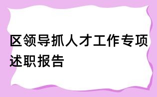 區領導抓人才工作專項述職報告