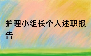護理小組長個人述職報告