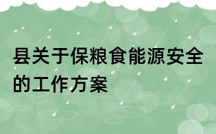 縣關于保糧食能源安全的工作方案