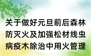 關(guān)于做好元旦前后森林防滅火及加強(qiáng)松材線蟲(chóng)病疫木除治中用火管理