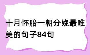 十月懷胎一朝分娩最唯美的句子84句