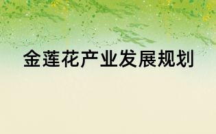 金蓮花產業發展規劃