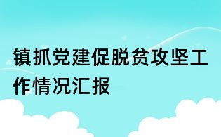 鎮抓黨建促脫貧攻堅工作情況匯報