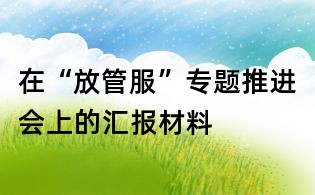 在“放管服”專題推進會上的匯報材料