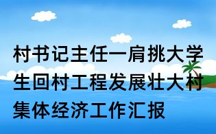 村書記主任一肩挑大學生回村工程發展壯大村集體經濟工作匯報