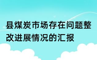縣煤炭市場存在問題整改進展情況的匯報