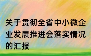 關(guān)于貫徹全省中小微企業(yè)發(fā)展推進(jìn)會(huì)落實(shí)情況的匯報(bào)
