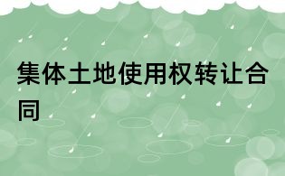 集體土地使用權(quán)轉(zhuǎn)讓合同