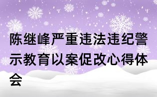 陳繼峰嚴重違法違紀警示教育以案促改心得體會
