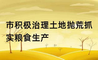 市積極治理土地拋荒抓實糧食生產