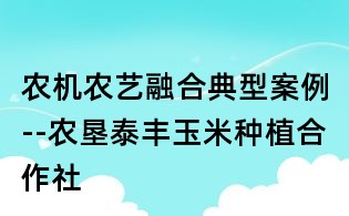 農(nóng)機(jī)農(nóng)藝融合典型案例--農(nóng)墾泰豐玉米種植合作社