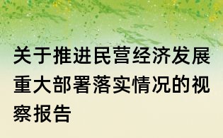 關于推進民營經濟發展重大部署落實情況的視察報告