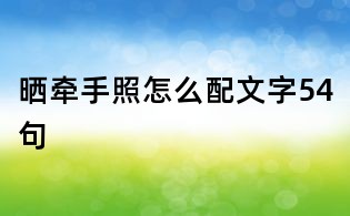 曬牽手照怎么配文字54句