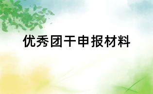 優秀團干申報材料