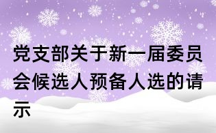 黨支部關于新一屆委員會候選人預備人選的請示