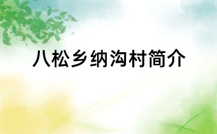 八松鄉(xiāng)納溝村簡介