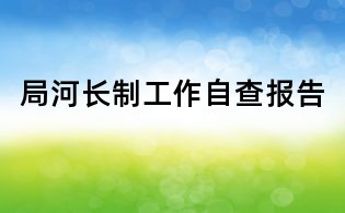 局河長制工作自查報告