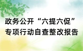 政務公開“六提六促”專項行動自查整改報告