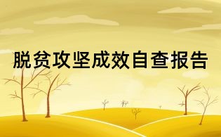 脫貧攻堅成效自查報告