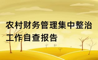 農村財務管理集中整治工作自查報告