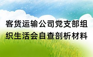 客貨運輸公司黨支部組織生活會自查剖析材料