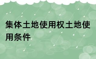 集體土地使用權土地使用條件