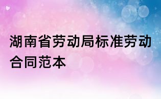 湖南省勞動局標準勞動合同范本