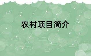 農村項目簡介