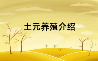 土元養殖介紹