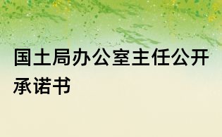 國土局辦公室主任公開承諾書