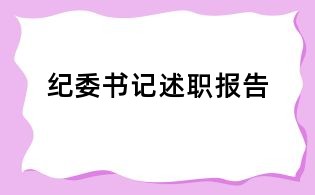 紀委書記述職報告