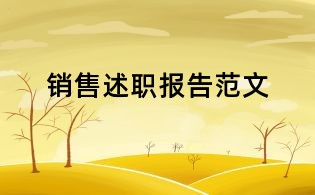 銷售述職報告范文