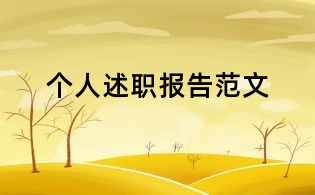 個人述職報告范文